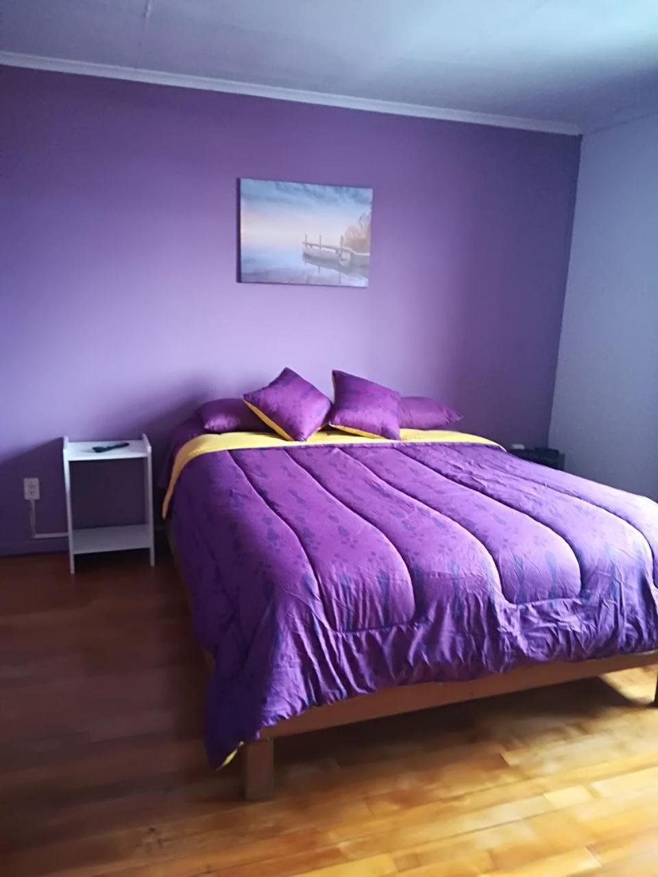 푼타아레나스 Puq Casa Amigos 아파트 외부 사진